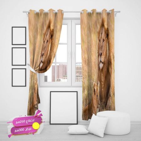 برادي الأسد